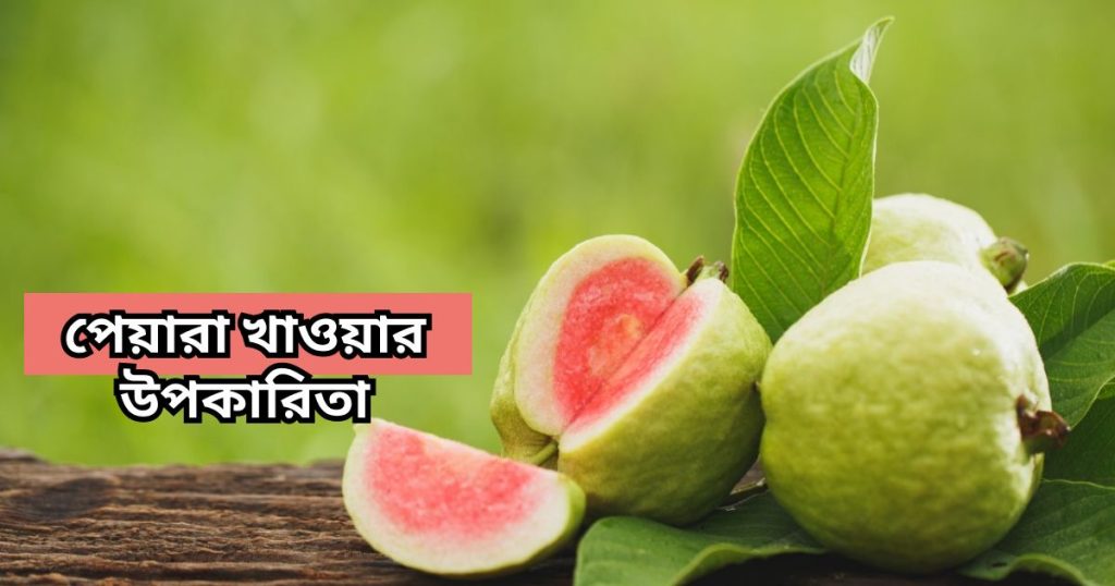 পেয়ারা খাওয়ার উপকারিতা guava benefits
