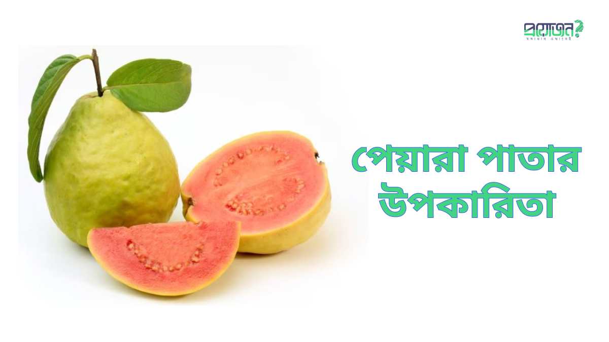 পেয়ারা পাতার উপকারিতা Benefits of guava