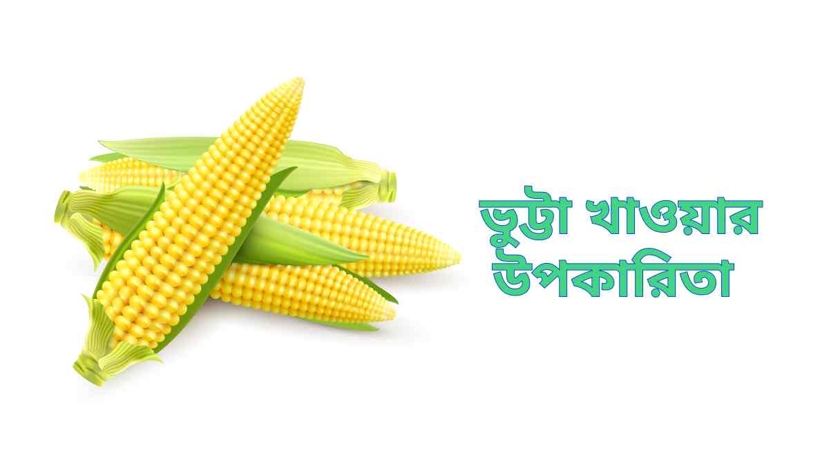 ভুট্টা খাওয়ার উপকারিতা Benefit of eating corn